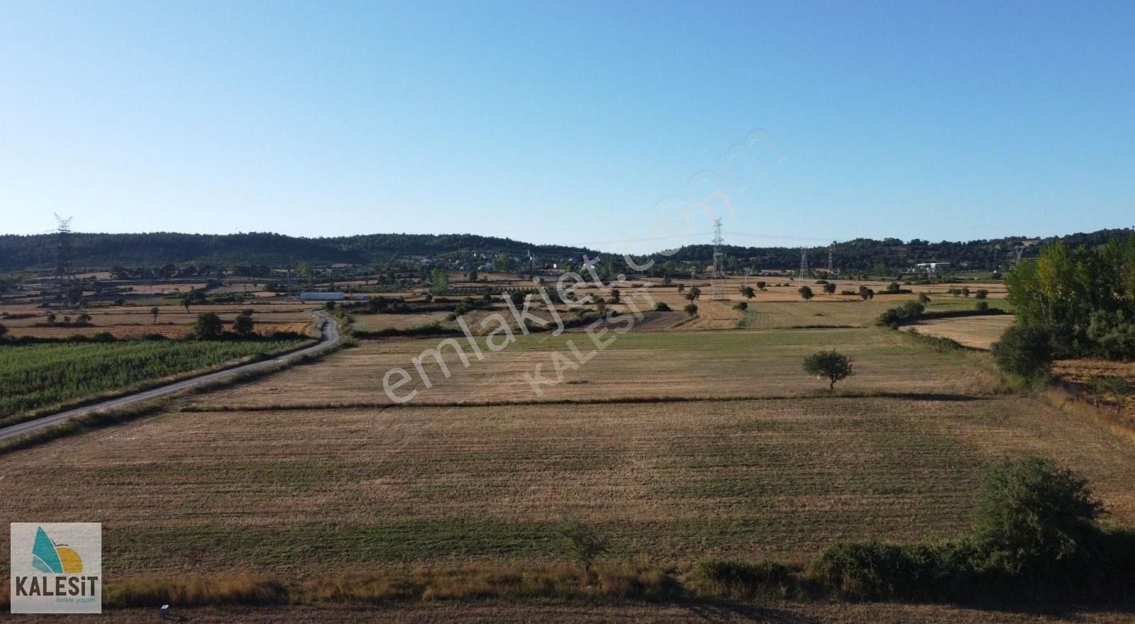 Çanakkale Çan Satılık Tarla Çan Kazabat Köyünde Yola 200 Mt Cephe Gişe Karşısı Meskun Sınırı