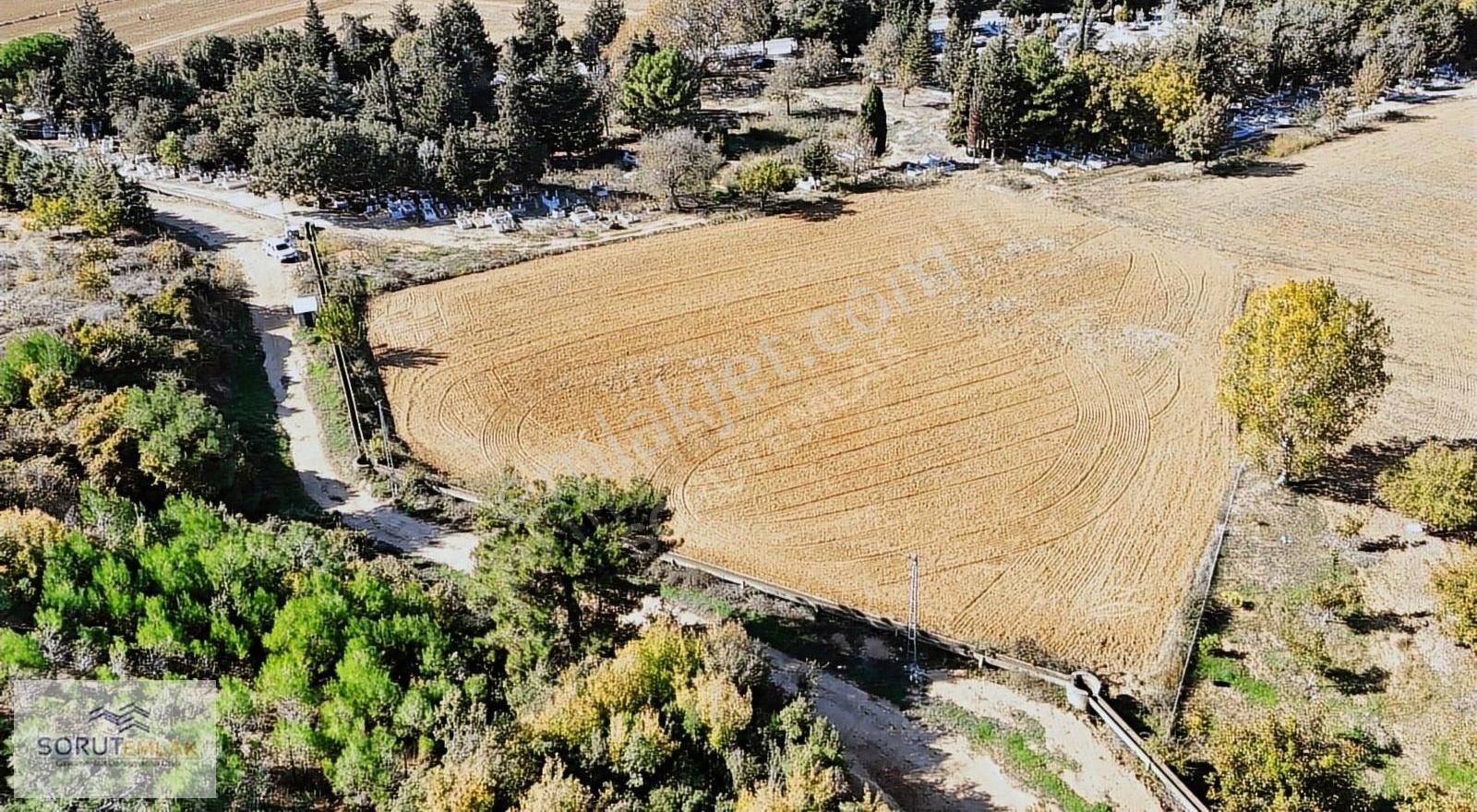 Keşan Mecidiye Köyü (Cumhuriyet) Satılık Tarla Mecidiye Liman Yolu Üzerinde Satılık 5.100 M2 Tarla