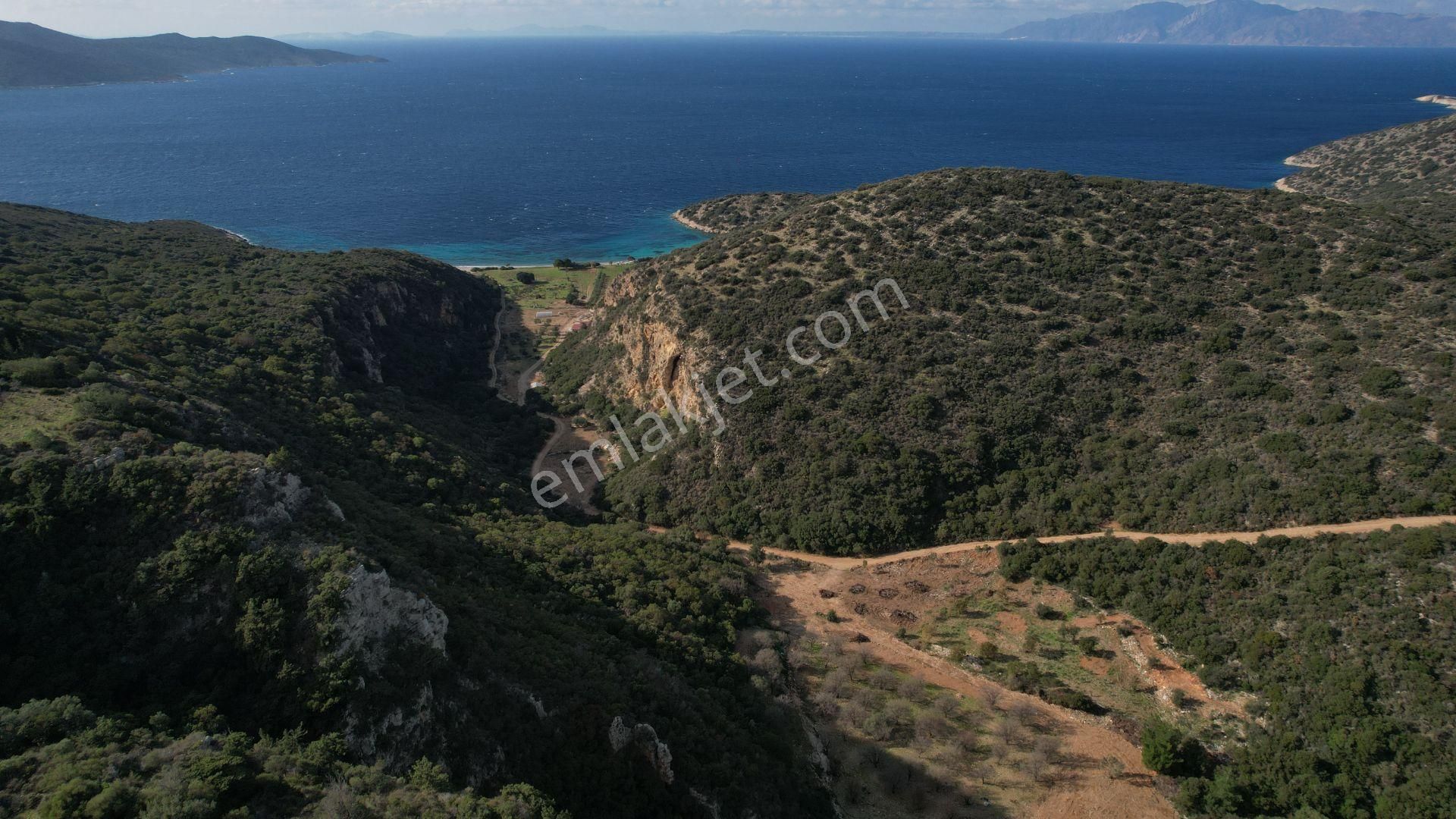 Datça Cumalı'da 1.027 M2 Kapanmaz Deniz Manzaralı Tarla - Görsel 3