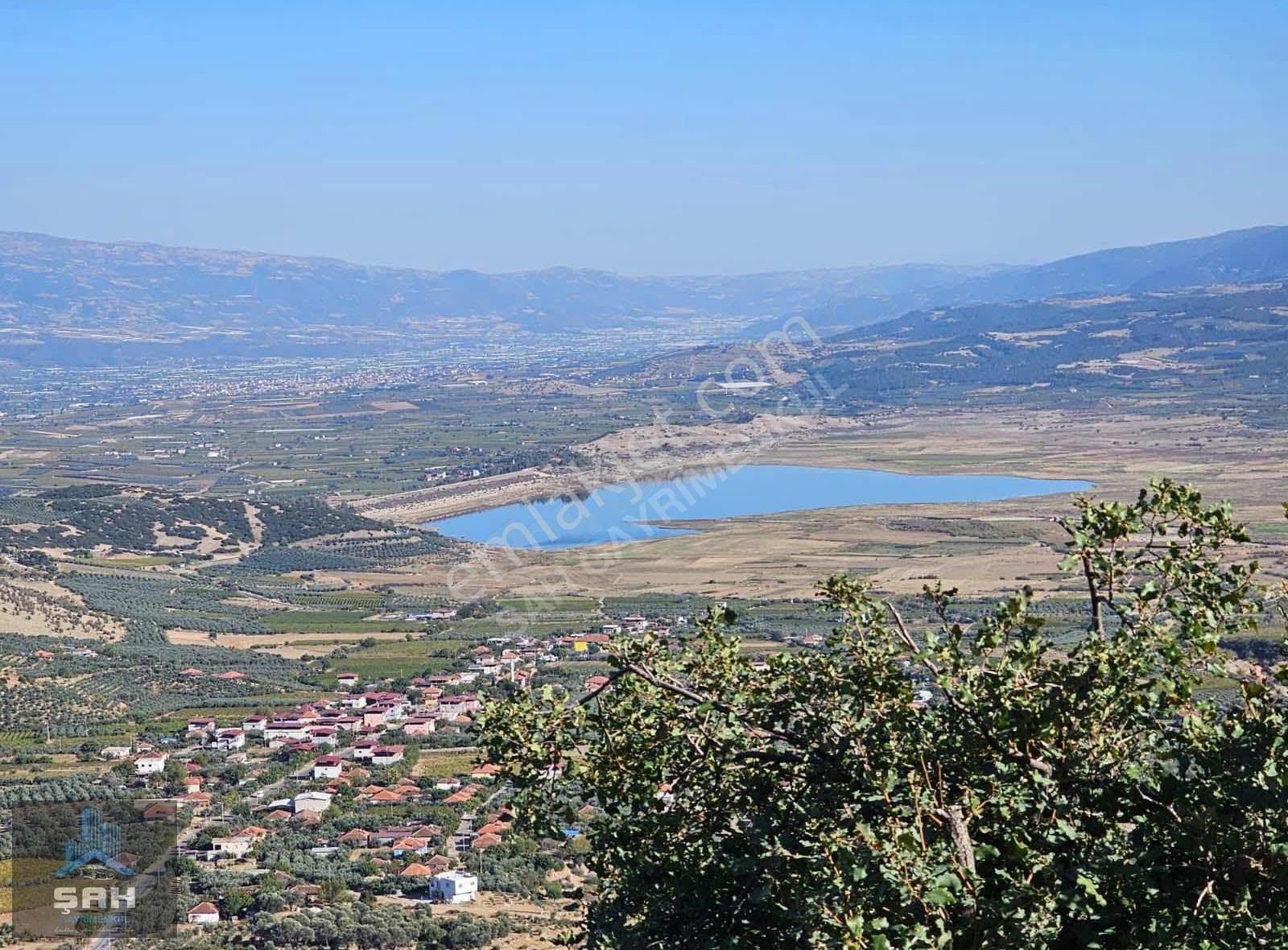 Alaşehir Girelli Satılık Tarla Yatırımlık Kaçırılmayacak Fırsat Satılık Zeytinlik Ve Bağlar