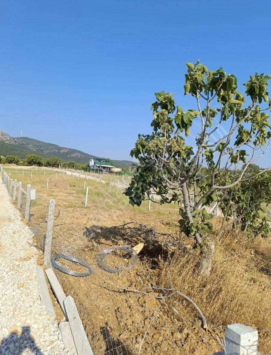 Torbali Karaot 205 M2 Arsa Araç Takası Yapılır Elektrik-su-tel - Görsel 6