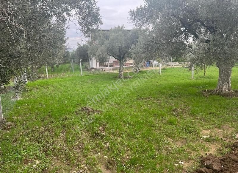 Torbali Karaot 205 M2 Arsa Araç Takası Yapılır Elektrik-su-tel - Görsel 11