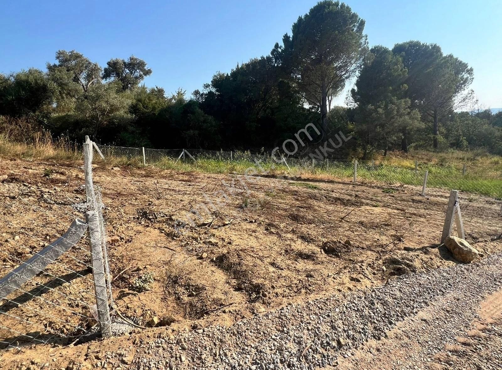 Torbali Karaot 205 M2 Arsa Araç Takası Yapılır Elektrik-su-tel - Görsel 2