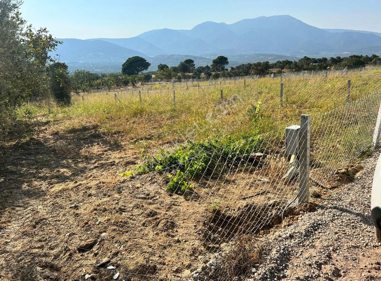 Torbali Karaot 205 M2 Arsa Araç Takası Yapılır Elektrik-su-tel - Görsel 8