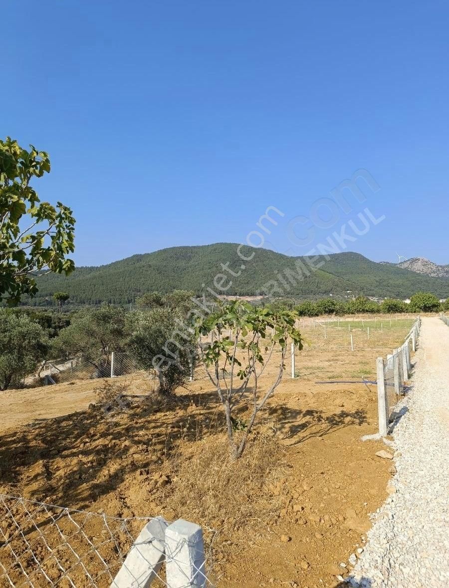 Torbali Karaot 205 M2 Arsa Araç Takası Yapılır Elektrik-su-tel - Görsel 10
