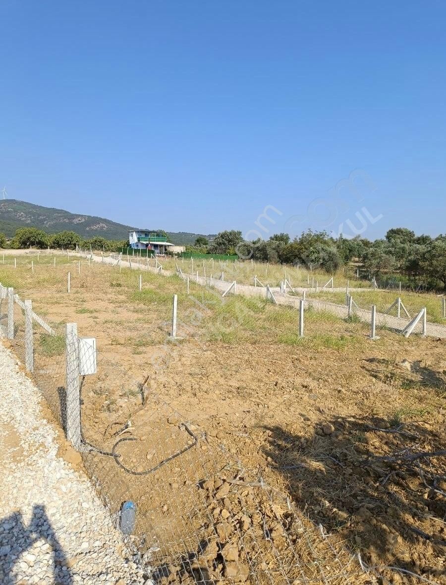 Torbali Karaot 205 M2 Arsa Araç Takası Yapılır Elektrik-su-tel - Görsel 16