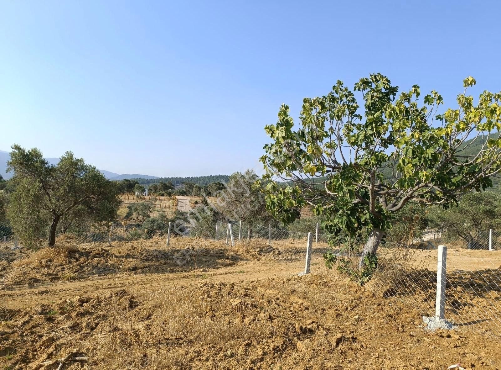 Torbali Karaot 205 M2 Arsa Araç Takası Yapılır Elektrik-su-tel - Görsel 4