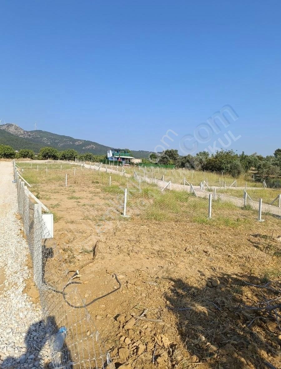 Torbali Karaot 205 M2 Arsa Araç Takası Yapılır Elektrik-su-tel - Görsel 12