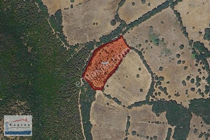 Yenice Kovancı Köyü Satılık Tarla Çanakkale Kalkım Kovancı Satılık 8000 M2 Tarla