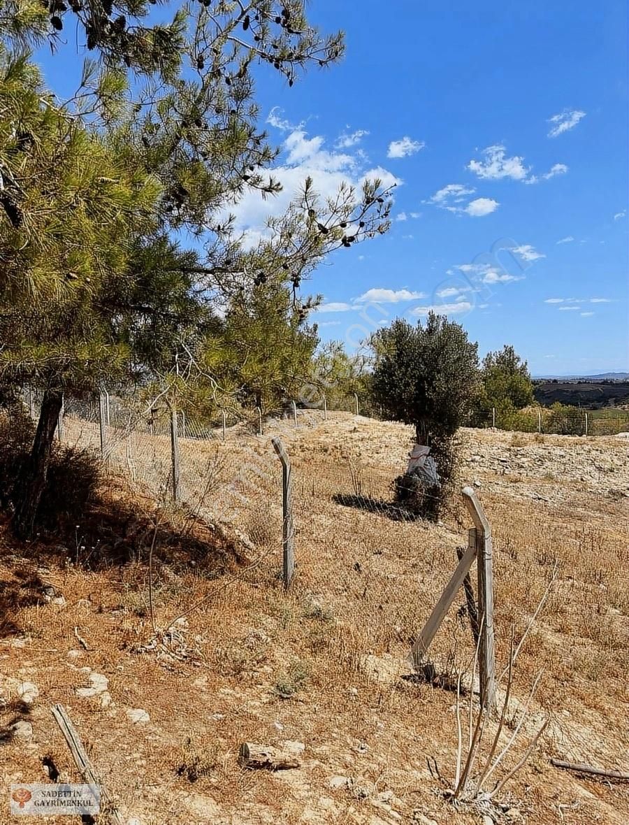 Karaisalı Kırıklı Satılık Tarla Çukurova Karaisalı Kırıklı Mahallesi Satılık Arsa