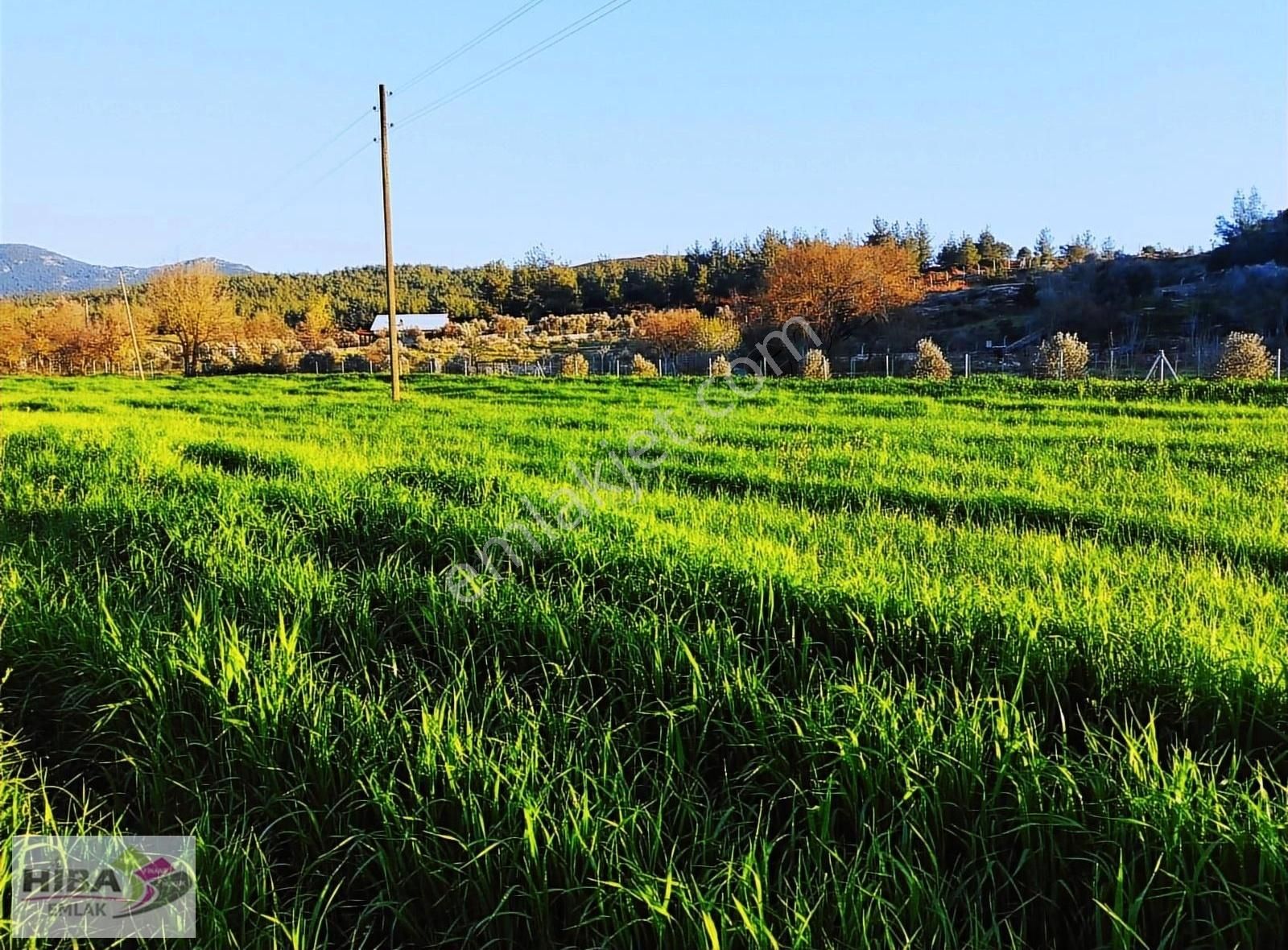 Milas Kısırlar Satılık Konut İmarlı Bağ Evi+depo İzni Olan Resmi Yollu Arsa-denize 20 -bodrum 30 Dk