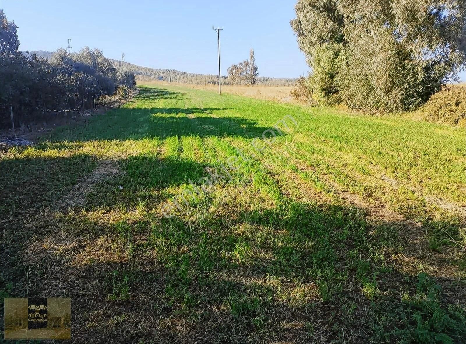 Seydikemer Alaçat Satılık Tarla Alaçat Mahallesinde Ana Yola 250 Metre Mesafede Yatırım Fıratı