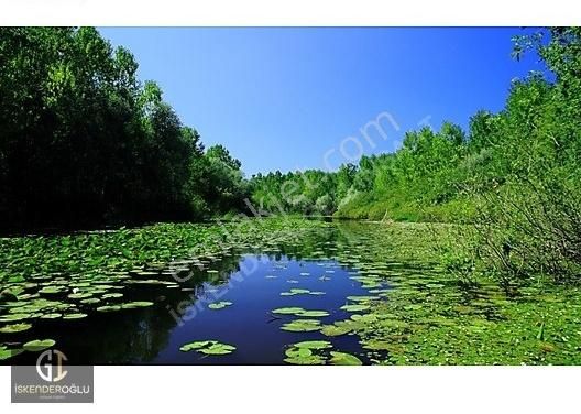 &karasu'da Müstakil Bahçeli Merkezi Lokasyonda 3+1 Fırsat Villa& - Görsel 32