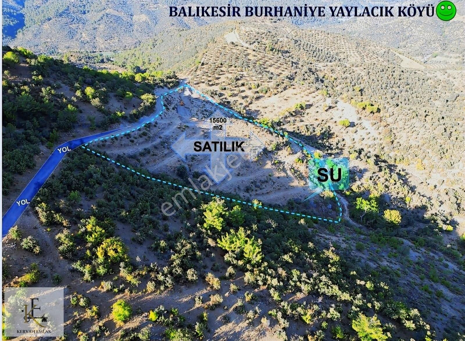 Burhaniye Yaylacık Satılık Tarla Kervandan Yatırım Fırsatı 15.600m2 Tarla Vasfında Satılık Arsa