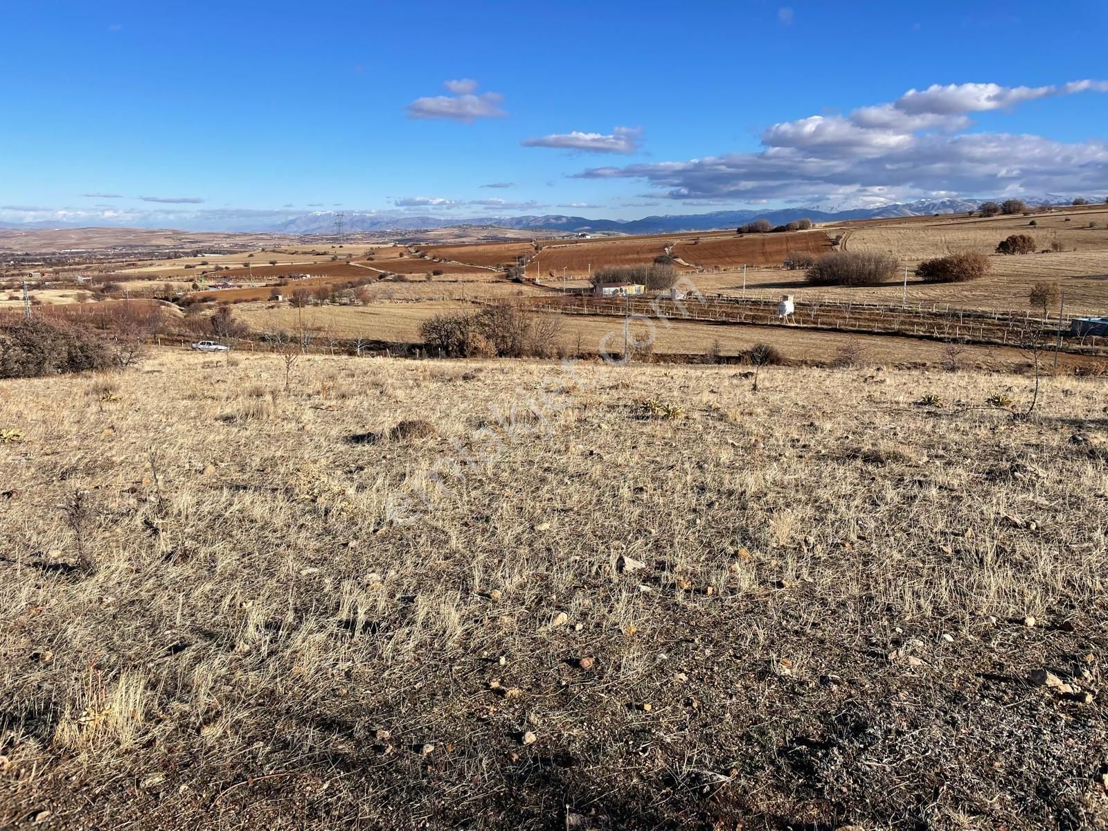 Elazığ Merkez Çalıca Köyü Satılık Tarla Sahibinden Satılık Yatırımlık Kullannalık Arsa