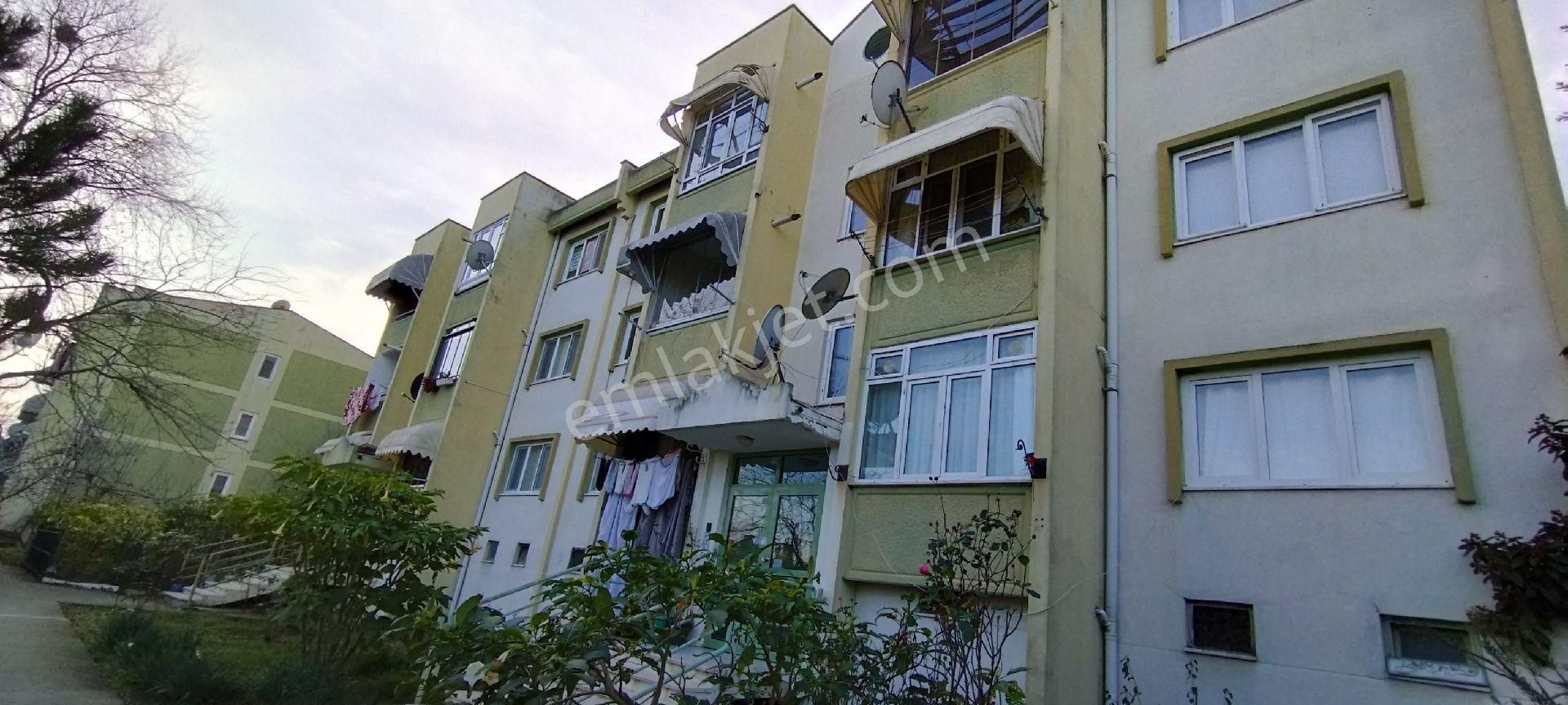 Adapazarı 15 Temmuz Camili Kiralık Daire Sakarya Zümrüt Emlak'tan 15 Temmuz Camili Mah 2+1 Temiz Yapılı Kiralık Daire