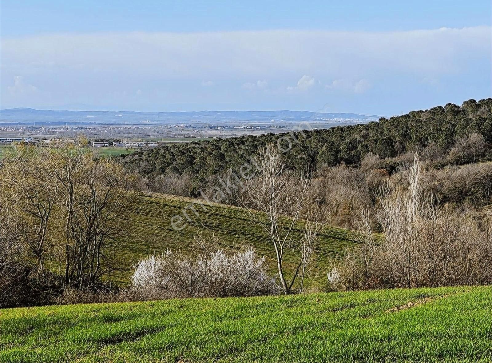 Biga İdriskoru Köyü (Küçükköy) Satılık Tarla İdriskoru' Da Resmi Yola Cephe Satılık 3000m2 Arazi