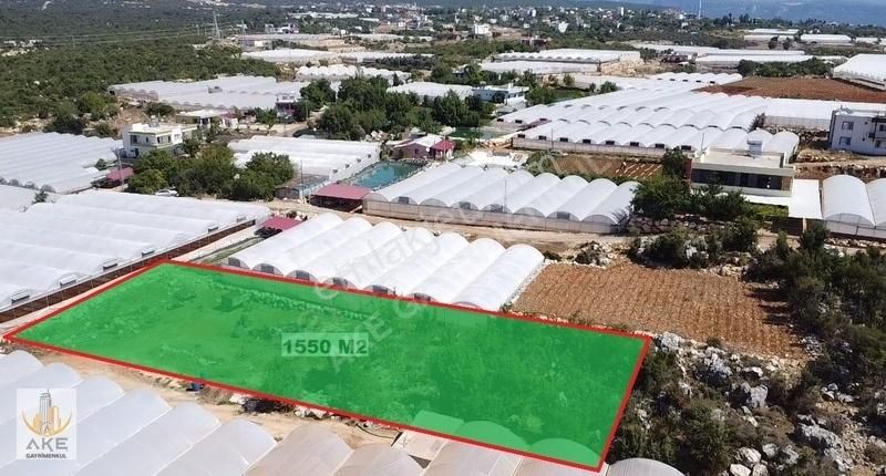 Erdemli Kayacı Satılık Tarla Erdemli Kayacı 1550 M2 Tek Tapu Satılık