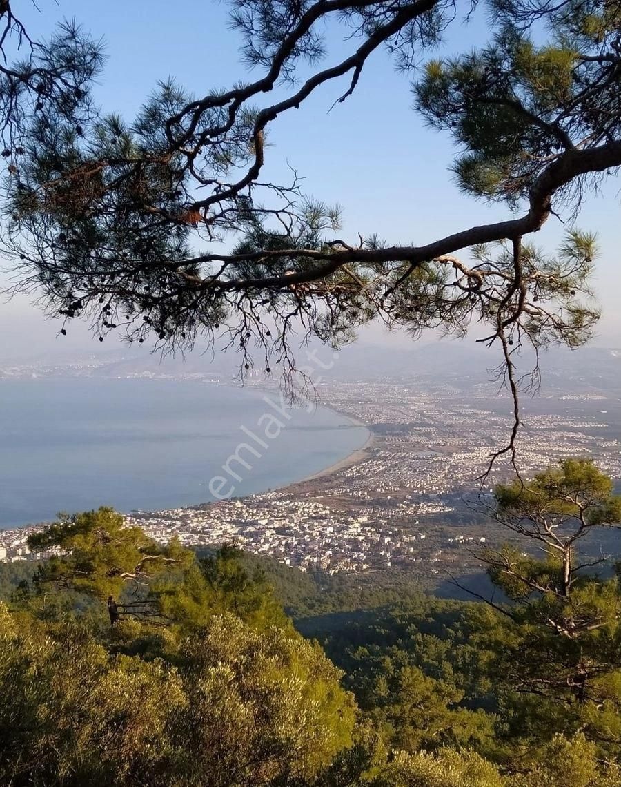 Kuşadası Güzelçamlı Satılık Daire Kuşadası Güzelçamlı’da Çok Geniş Daire Ve Büyük Bahçeli 2+1