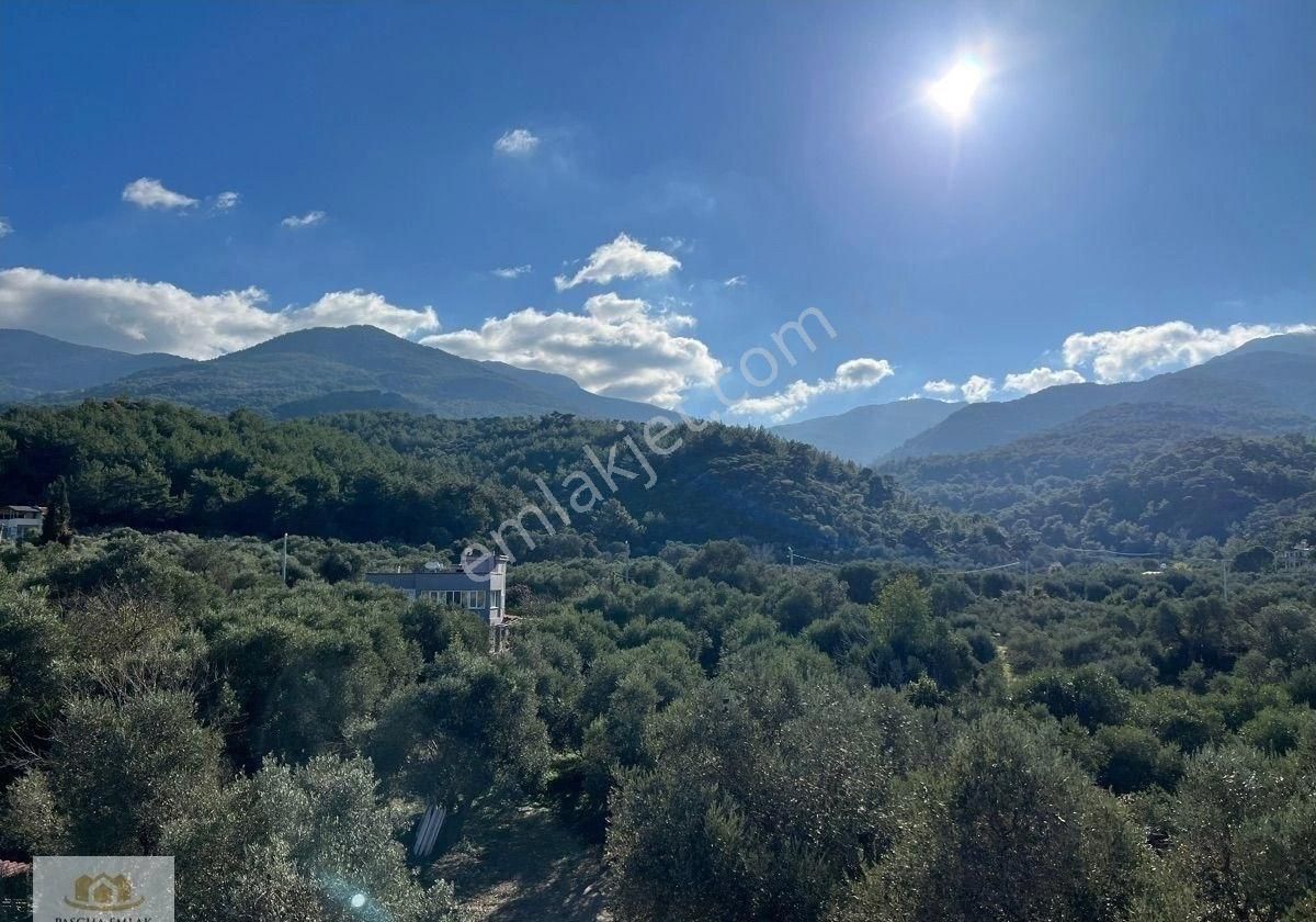 Kuşadası Güzelçamlı Satılık Daire Kuşadası Güzelçamlı’da Avantajlı Ödeme Kapanmaz Orman Manzaralı Daireler