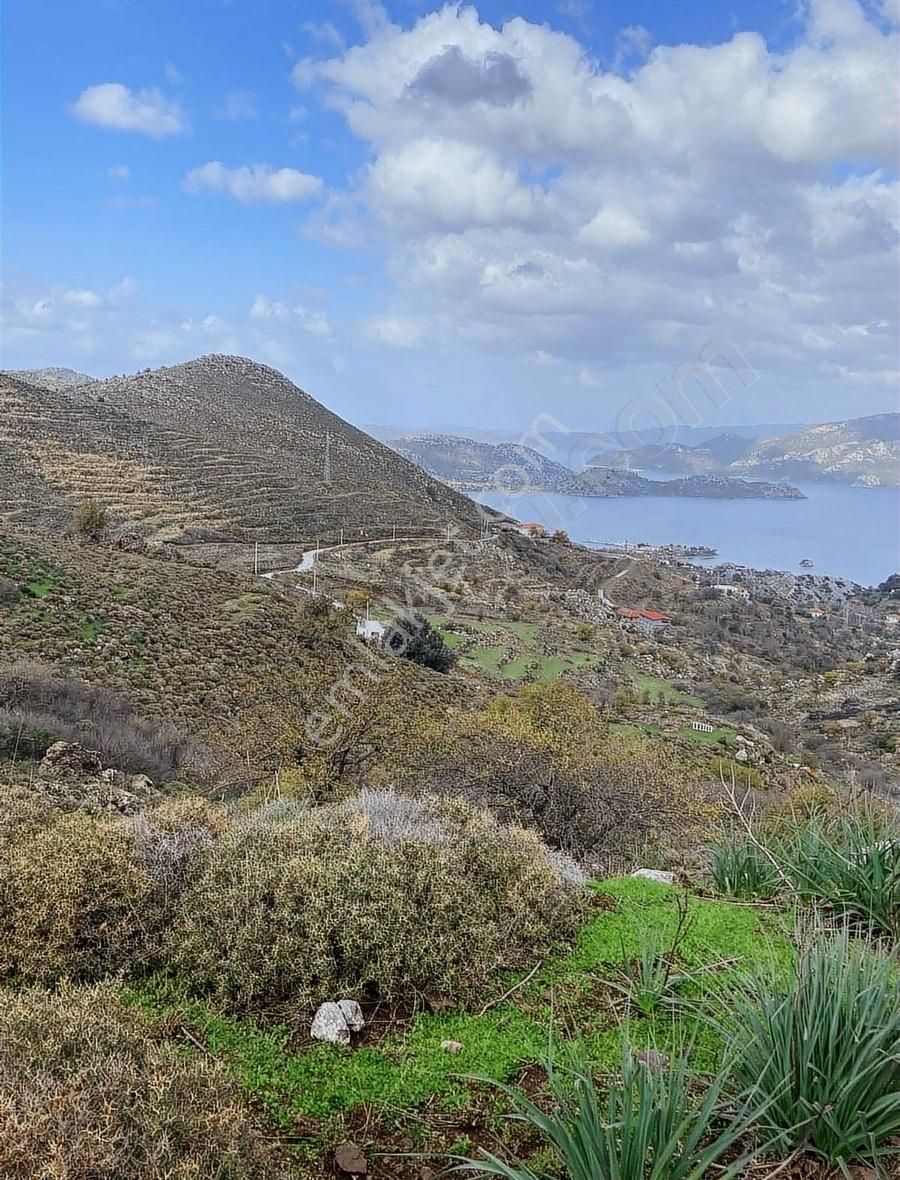 Marmaris Selimiye Satılık Bağ & Bahçe Selimiyeli Emlaktan Satılık Deniz Manzaralı Arsa