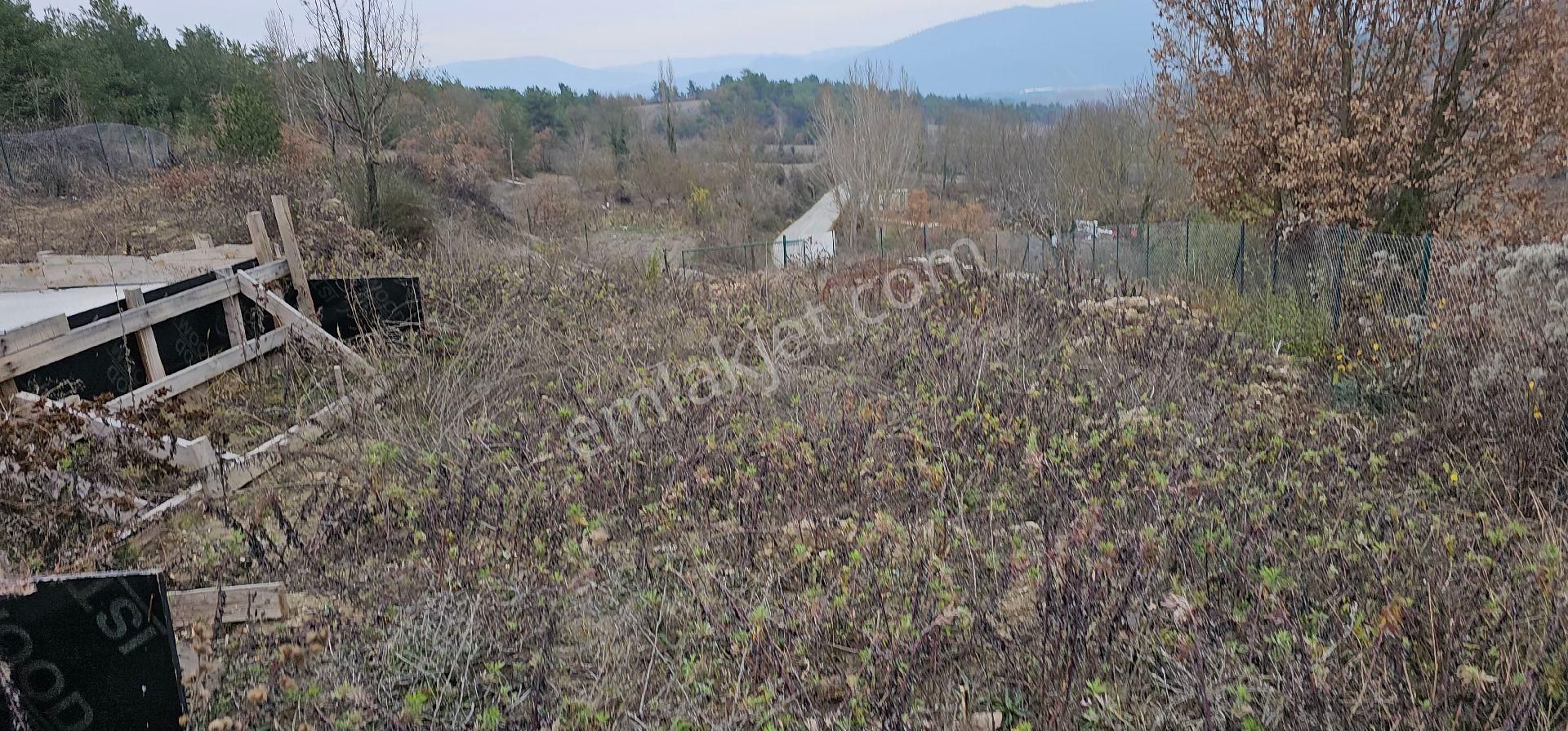 Taraklı Muhtumlarda Bahçe Temel Betonu Atılmiş - Görsel 19