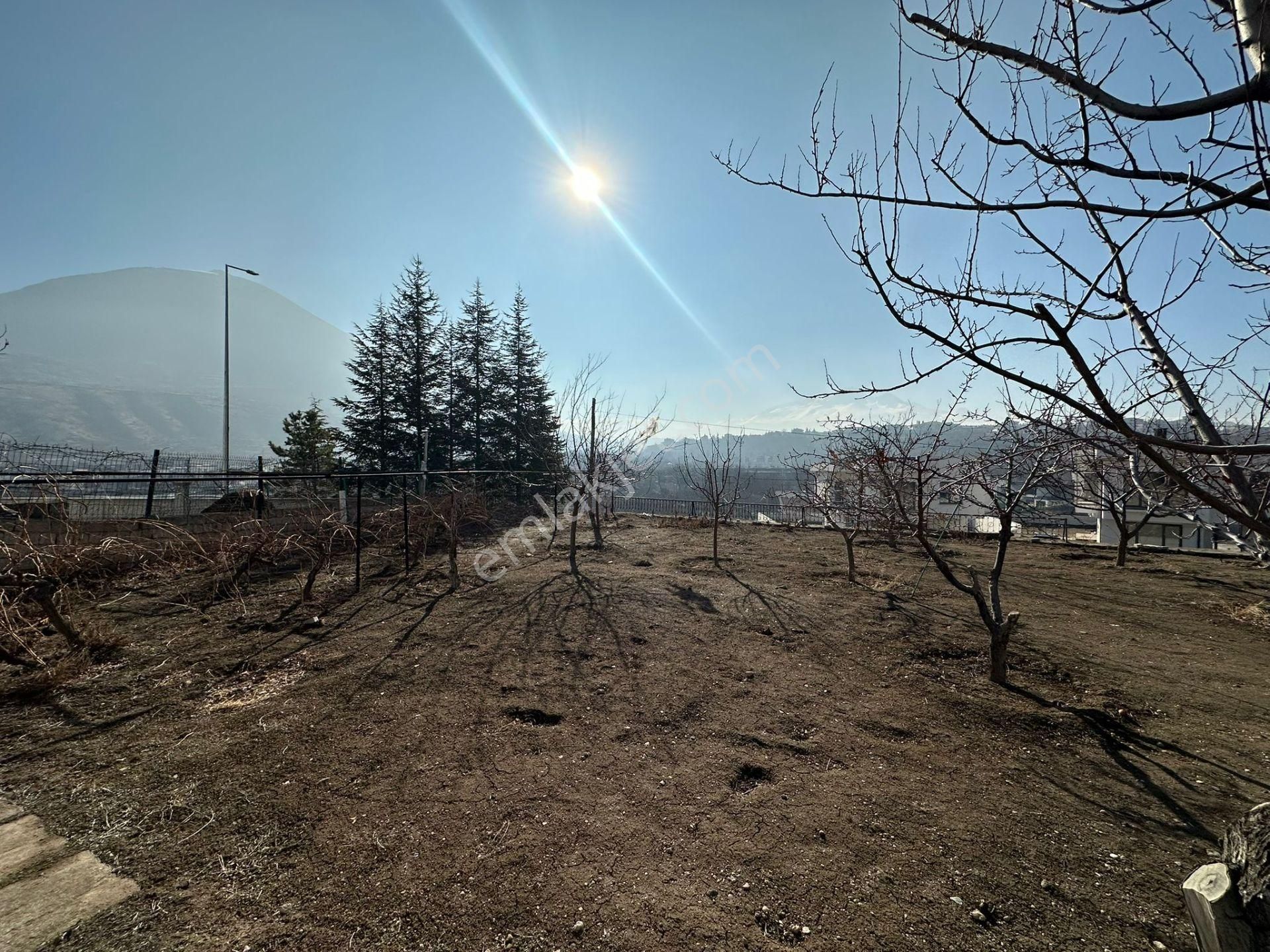 Çay Bağların'da 1000m2 İçerisinde 2 Katlı Villa+arsası - Görsel 24