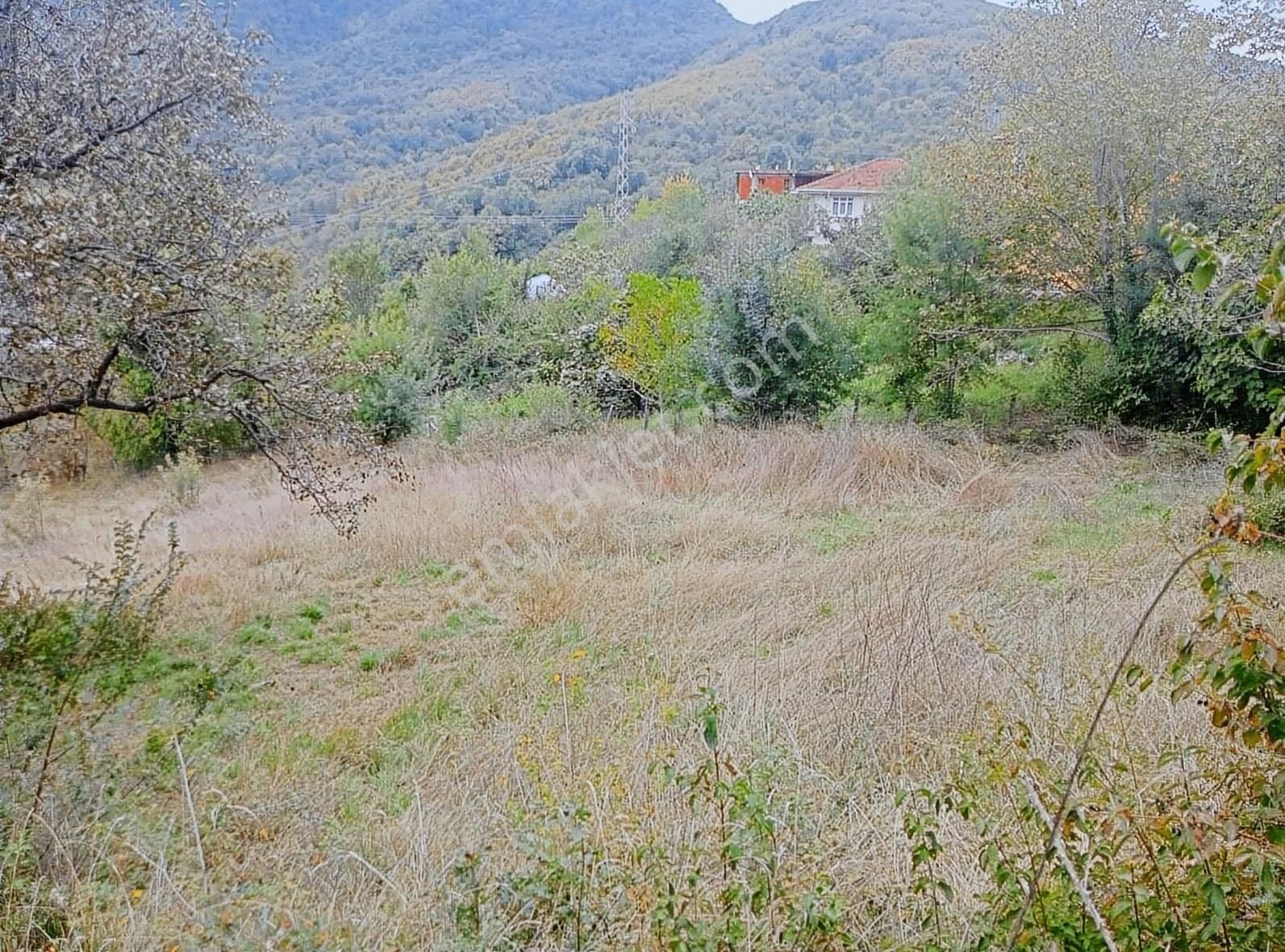 Cide Sofular Satılık Konut İmarlı Cide İlkim Emlak'tan Satılık İmarlı Arsa