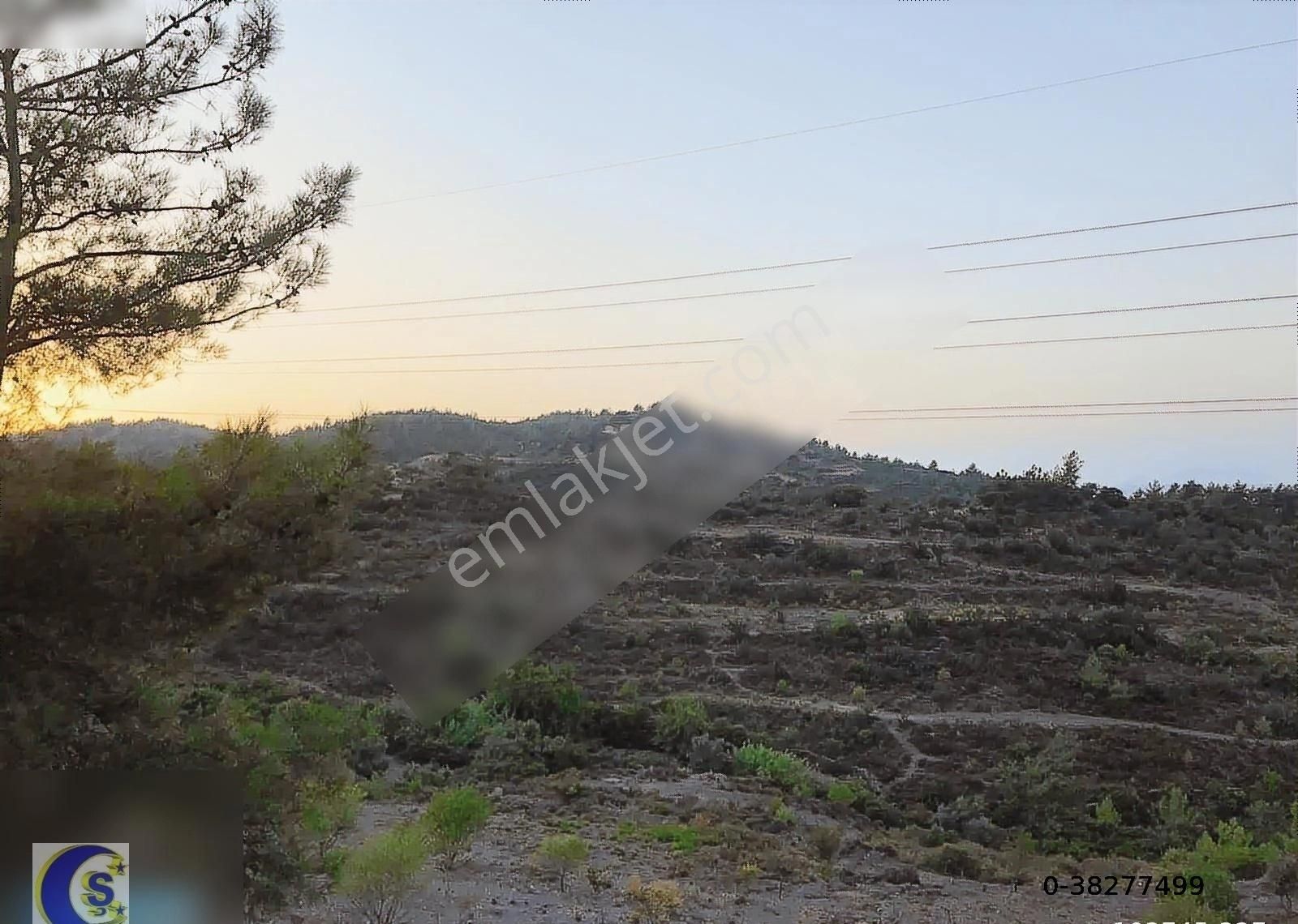 Bodrum Milas Karacahisar'da 36 Dönüm Çiflik Evi Satılık - Görsel 22