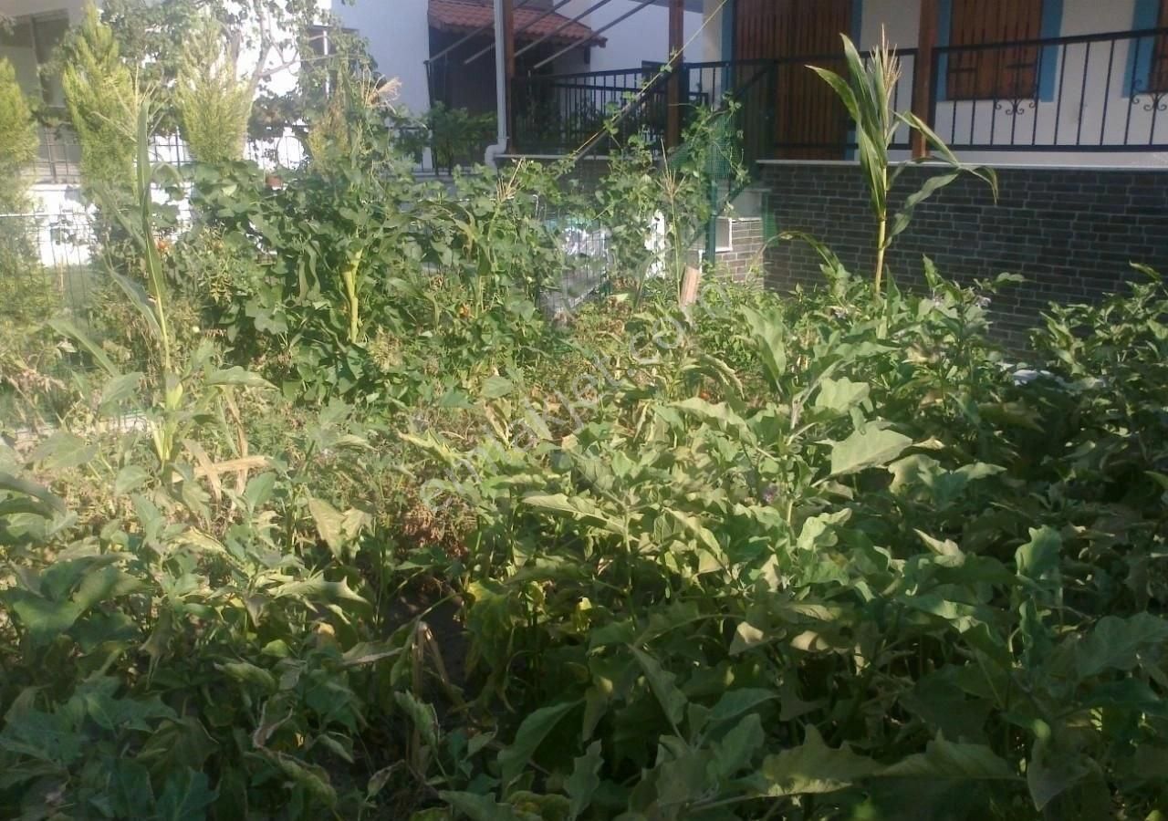 Dikili Merkez'de Sahile 300metre Stad'a 40 Mt Adliye Binasına 30 - Görsel 9