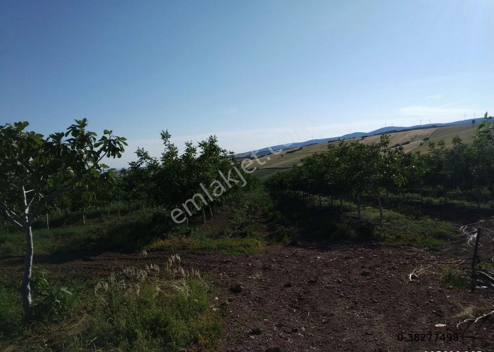 Havsa Şerbettar Köyü Satılık Tarla Edirne Hafsada Kupon Tarla Mantıklı Takas Yapılır