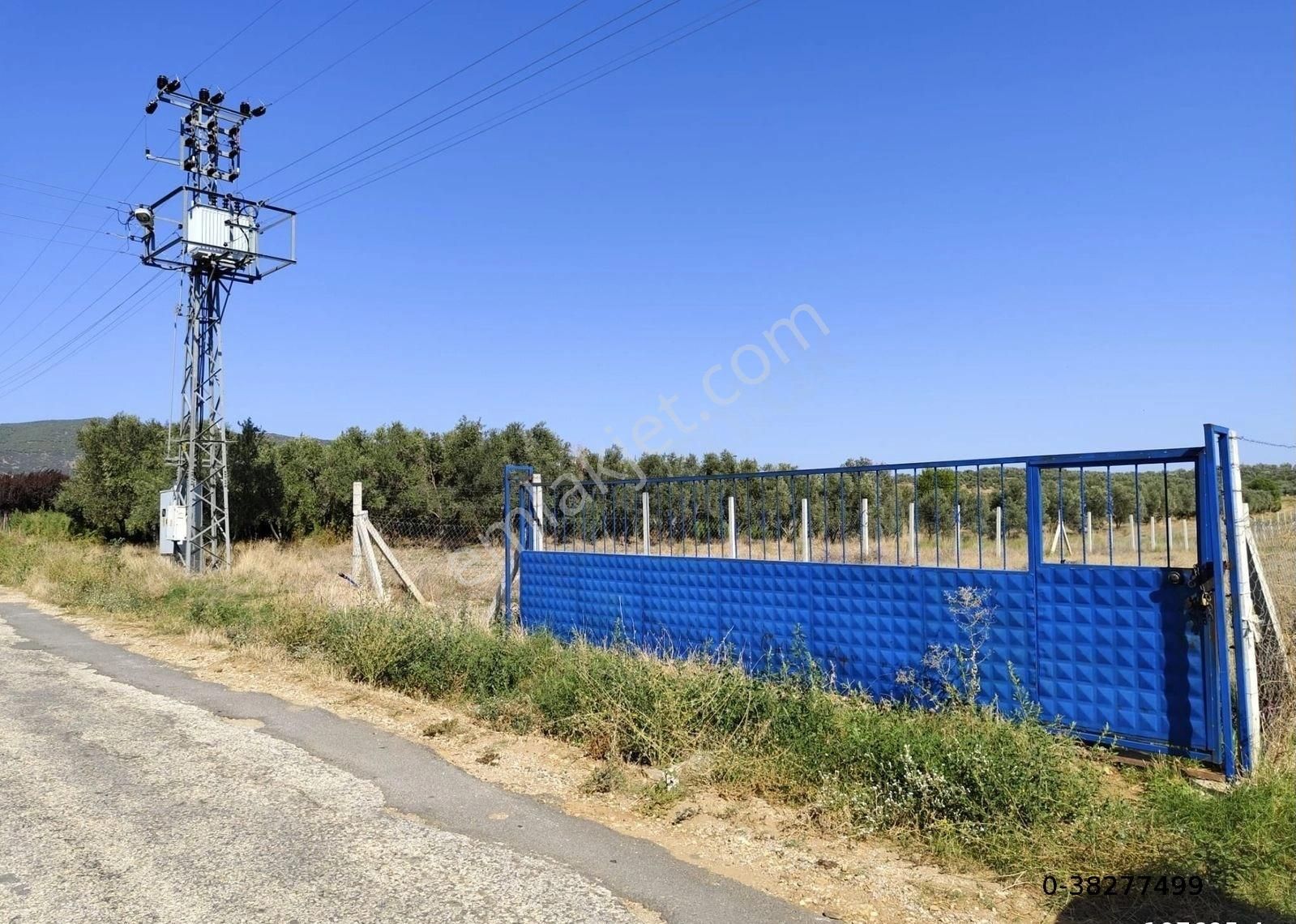 Tire Derebaşı Satılık Tarla Tire Derebaşında Ar-dost Emlaktan Satılık Tarla