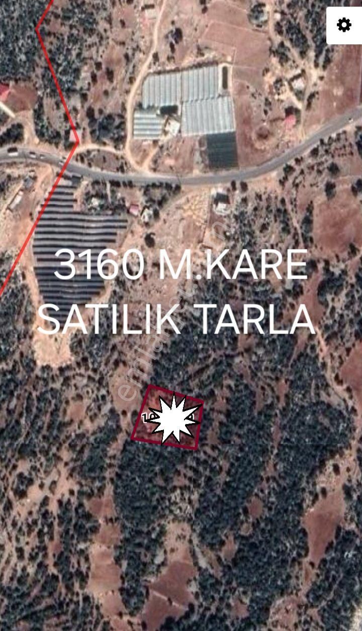 Erdemli Kayacı Satılık Tarla Mersin Erdemli Kayacı Mahallesinde Acil Satılık 3160 M.kare Tarla