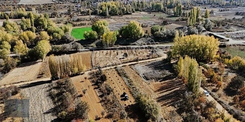 Doğanhisar Başköy Satılık Bağ & Bahçe Konya Doğanhisar Zafer,resmi Yola Cephe ,sulak ,yerleşimde Arazi