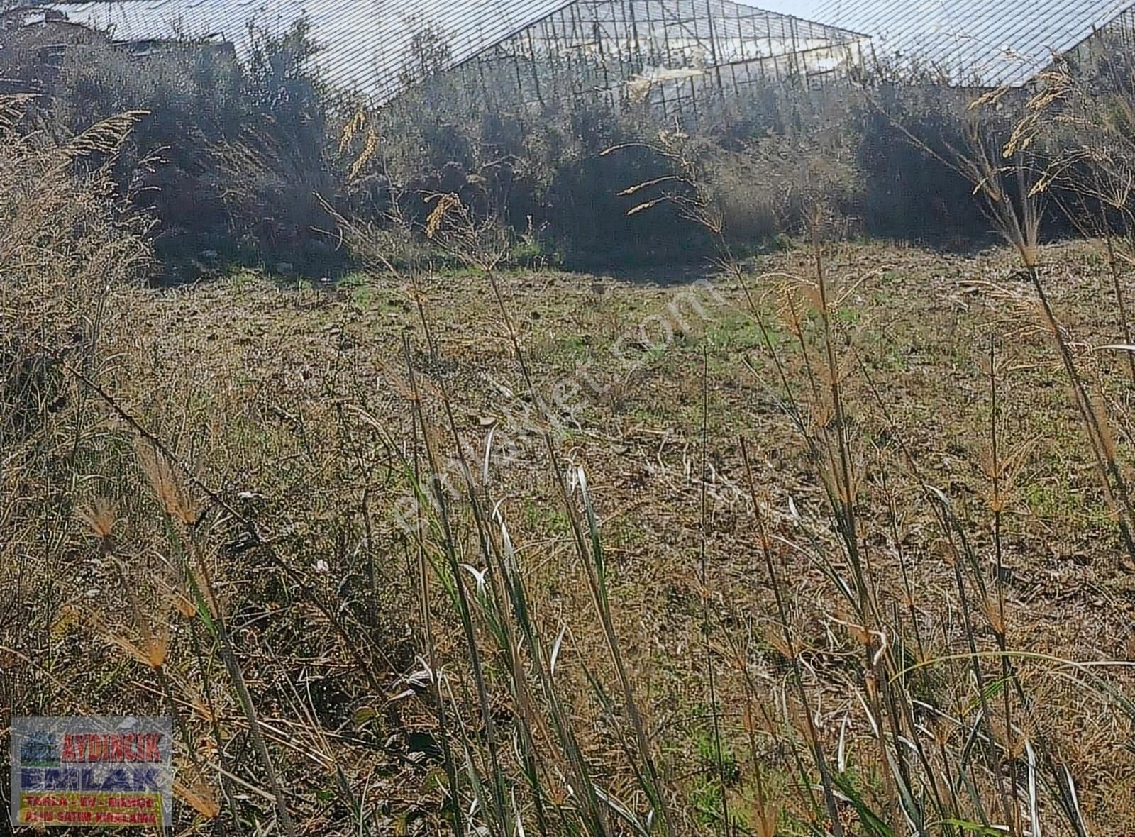 Aydıncık Emlaktan Satılık Tarla 2229m2 - Görsel 5