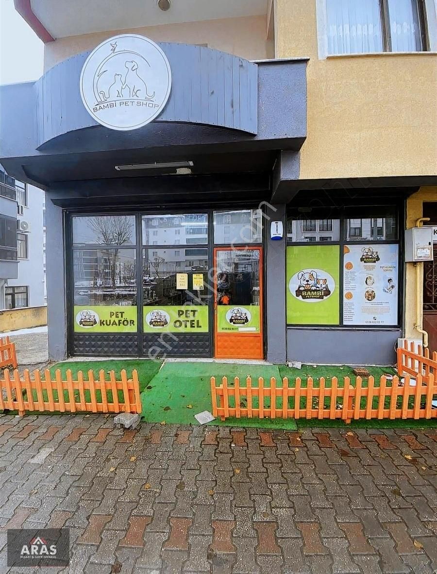 Bolu Merkez Borazanlar Devren Dükkan & Mağaza Devren Kiralık Petshop