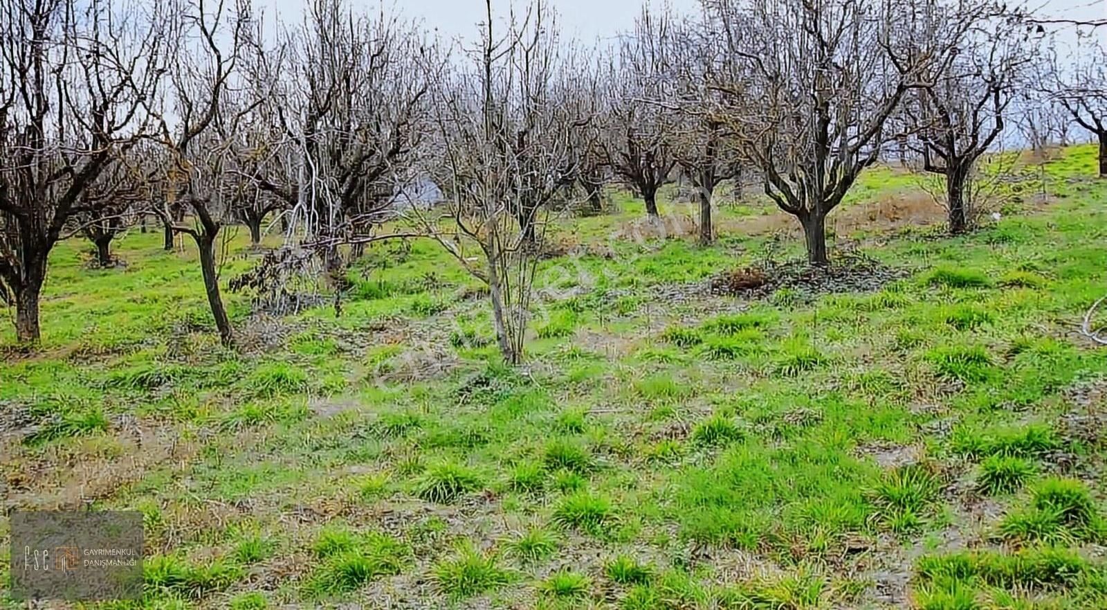 Sapanca Akçay Satılık Özel Kullanım Fse Gayrimenkul Emlaktan Kısmı Göl Manzaralı Satılık Arsa