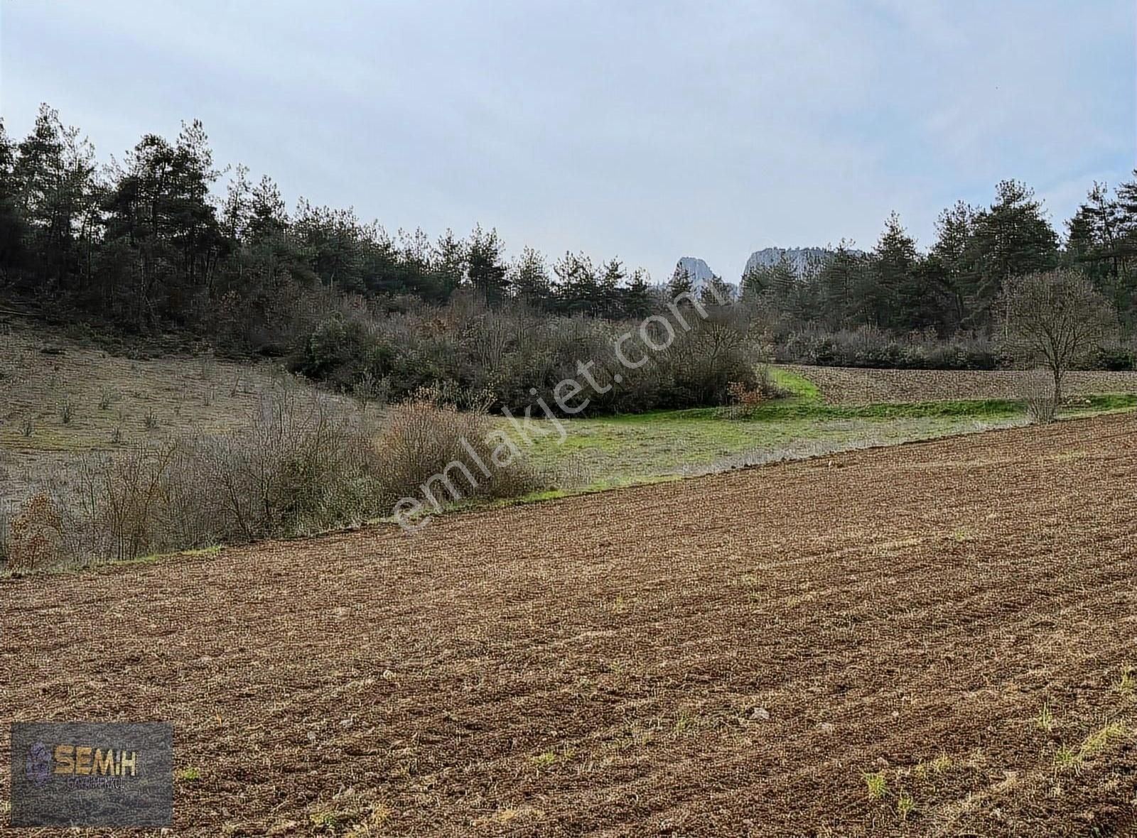 Yenişehir Hayriye Satılık Tarla Semih'den Hayriyede Şaşırtan Uygun Fiyatlı 773 M2 Hobi Bahçesi