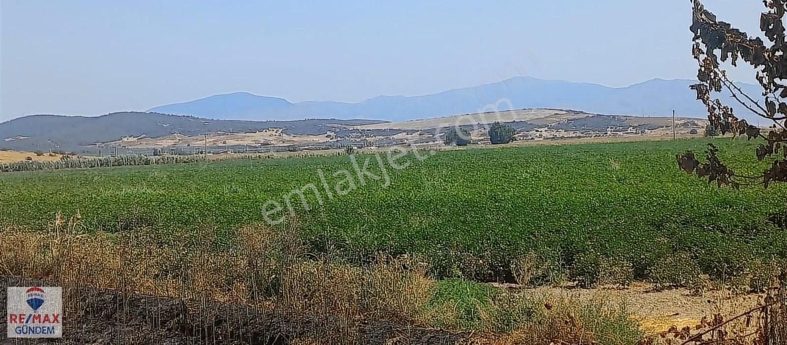 Foça Kemal Atatürk Satılık Tarla Foça Gerenköy'de Anayol Üzeri Satılık 518m2 Tarla