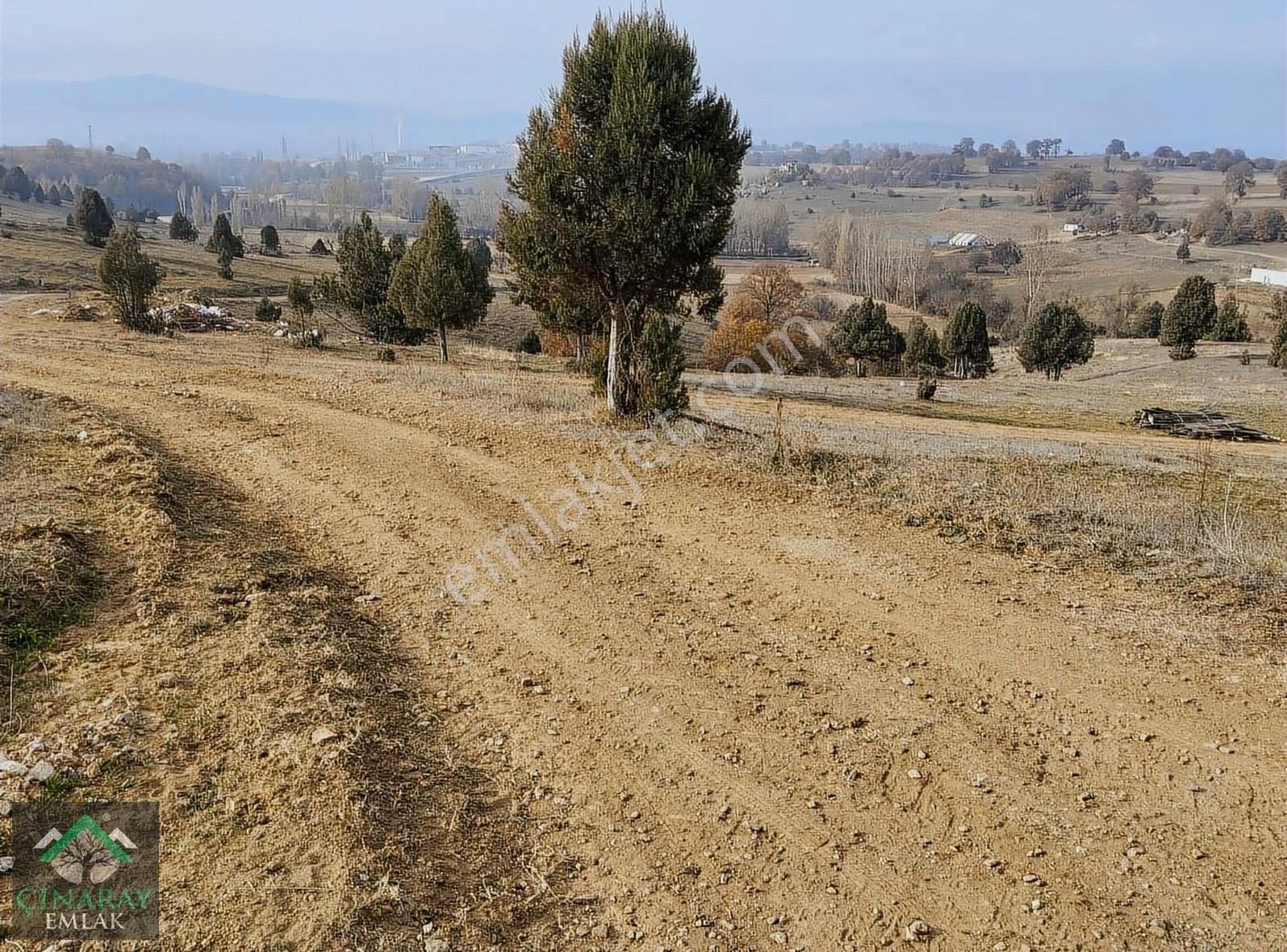 Pazaryeri Ahmetler Köyü Satılık Tarla Köy Mucavir Alanda 2358 M2 Bahçe