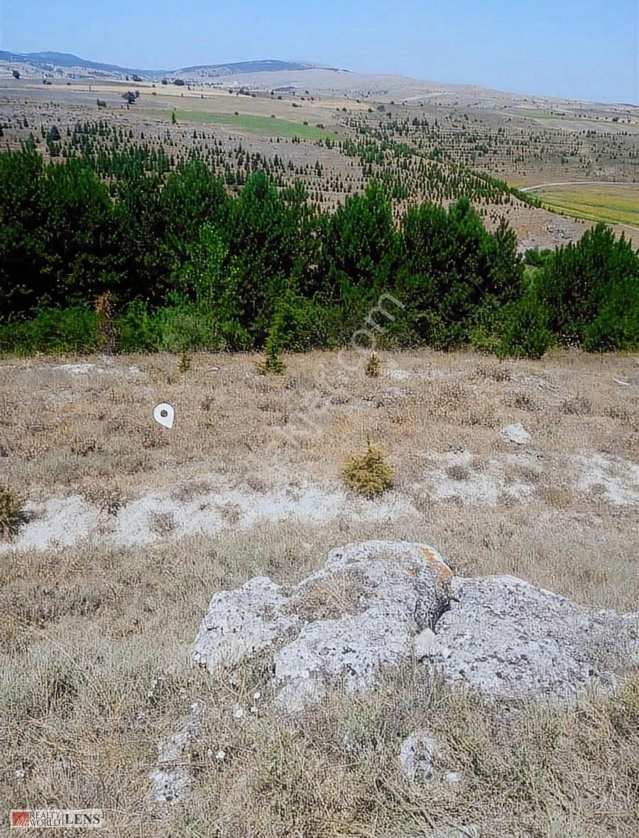 Bozüyük Yenidodurga Köyü Satılık Tarla Gelecek Toprakta Bilecik Dodurgada Baraj Manzaralı 8 Dönüm Arazi