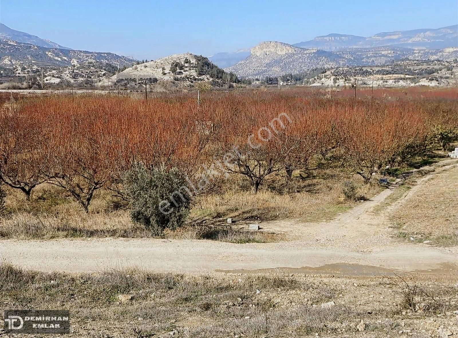 Mut Fakırca Satılık Bağ & Bahçe Mersin Mut Satılık Kaysı Bahçesi 6500 M2