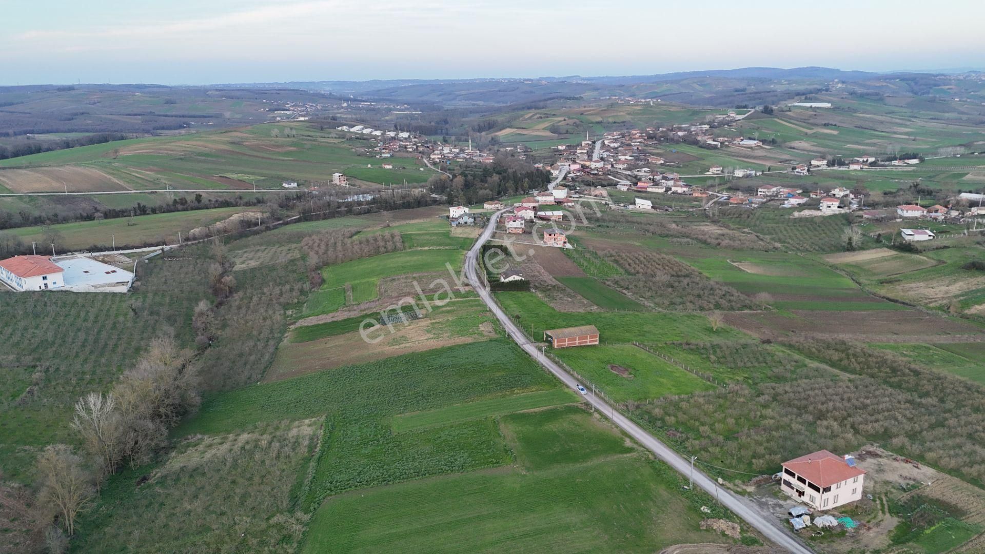 Kaynarca Ömerağa Satılık Tarla Re/max Mavi Fatih Çelebi'den Ömerağa 'da Yola Cephe 7326m2 Tarla