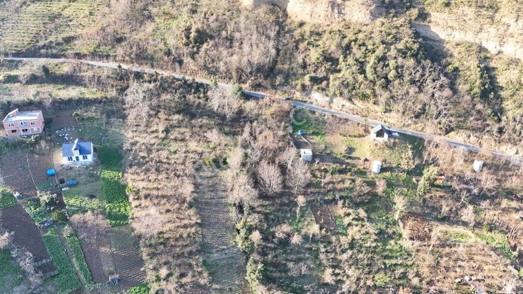 Akçaabat Kayalar Satılık Konut İmarlı Abdi Bostan Gayrimenkul'den Akçaabat Kayalar Mah. Satılık Arsa