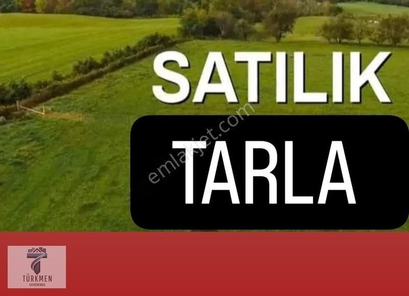 Söğüt Tuzaklı Köyü Satılık Tarla Murat Türkmen'den Bilecik_söğüt'te Satılık Tek_tapu 2735m2 Tarla