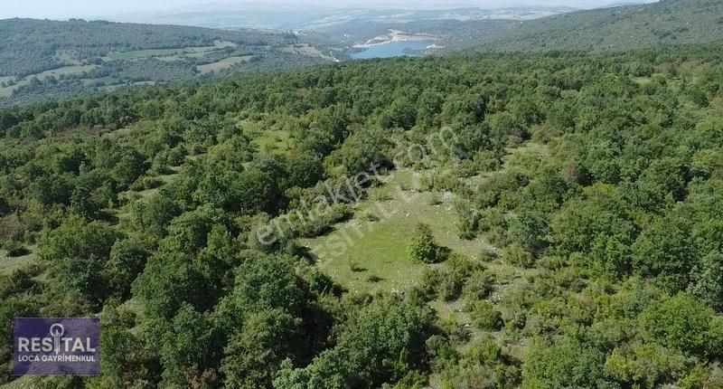 Bilecik Merkez Bahçecik Köyü Satılık Tarla Cemiyet Bahçecik Ormanı Kaşıklı Mevkii Tek Tapu Yatırımlık Arazi