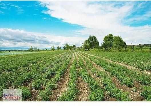 Menemen Süleymanlı Satılık Tarla Startkey Elit'den Menemen Bölgesınde Satılık Yol Üzerı Tarla