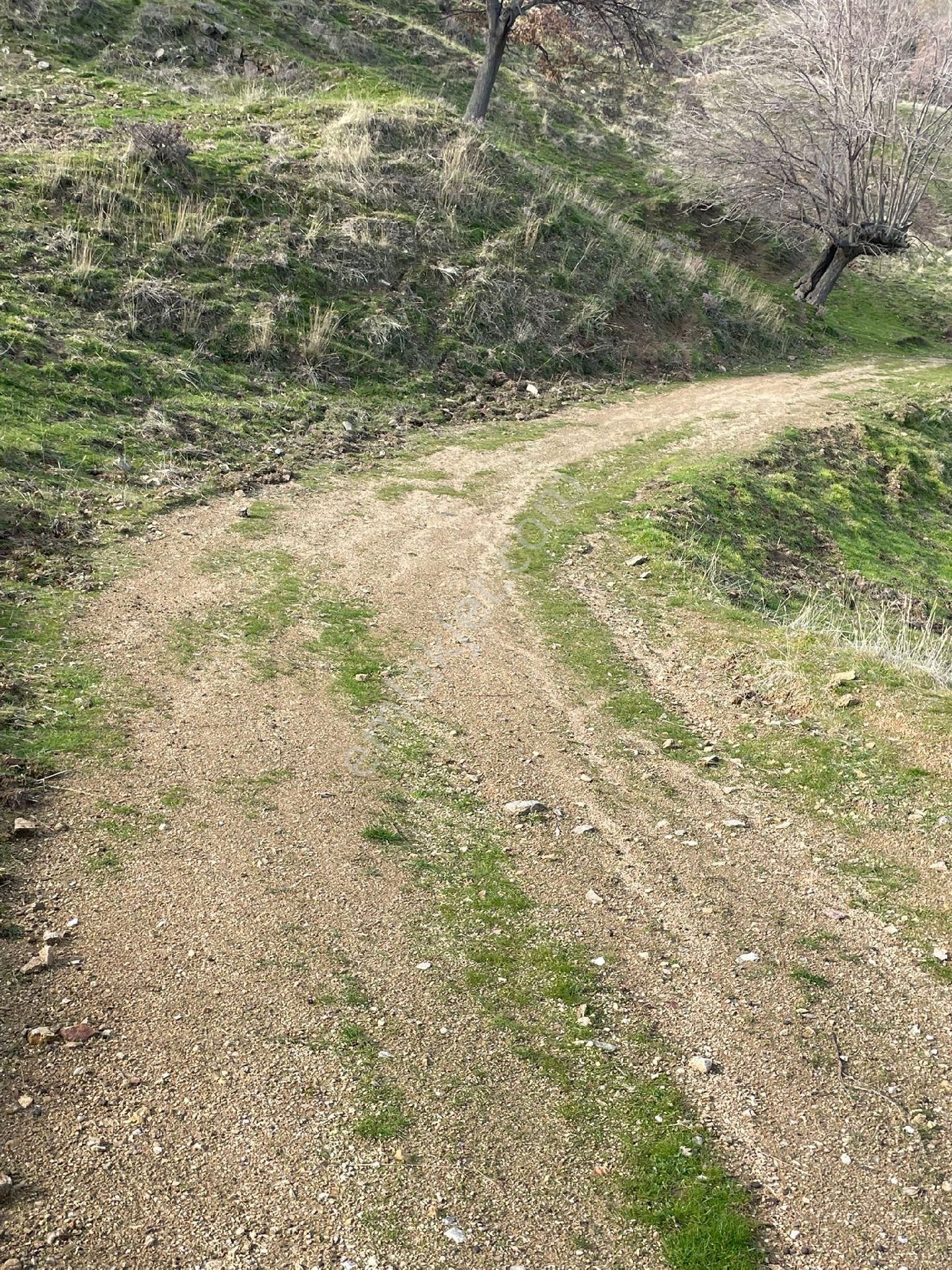 Buharkent Nurdağı Satılık Tarla - Görsel 4