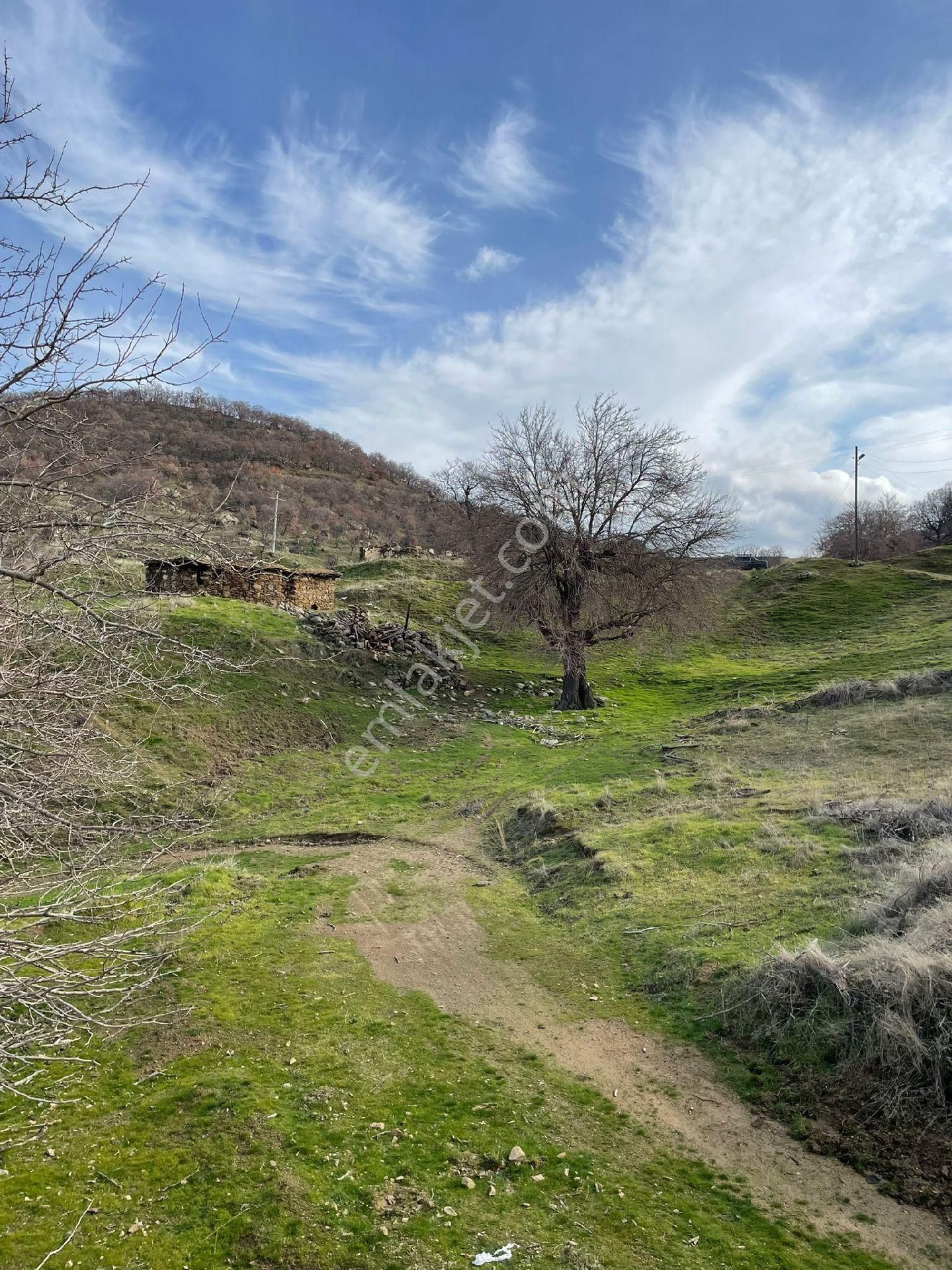 Buharkent Nurdağı Satılık Tarla - Görsel 10