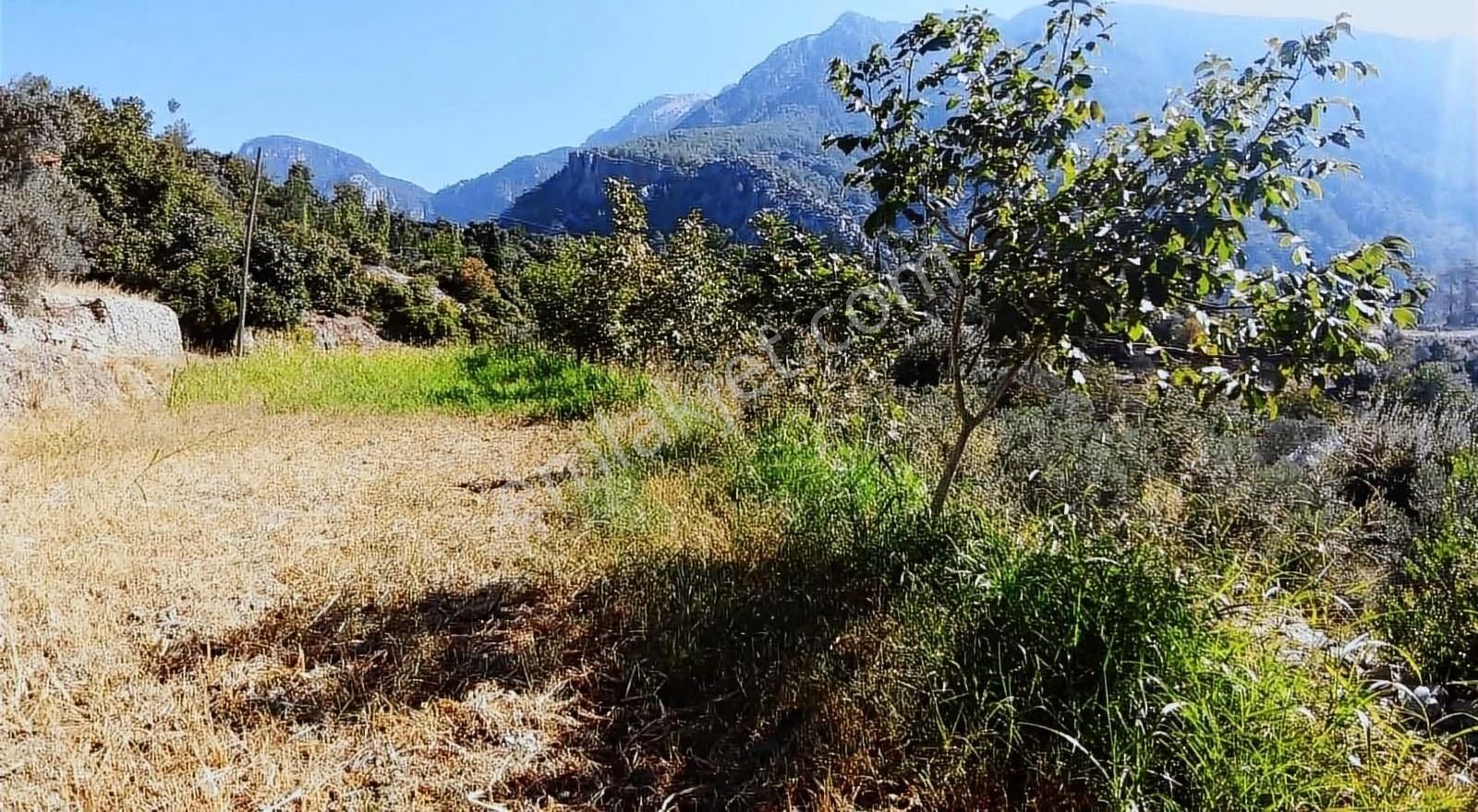 Muğla Seydikemer Söğütlüdere Mah. De K. İçi - Görsel 9